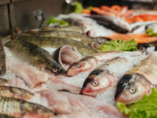 Estos son los pescados más recomendados por nutriólogos durante la cuaresma |