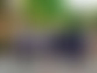 Secundarias del Sistema de Educación Municipal arrasan en concurso de escoltas de la Zona Escolar 09 |