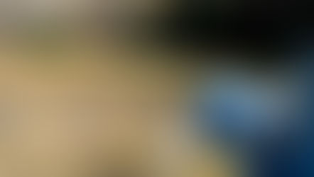 El agua que distribuye INTERAPAS cumple con niveles de calidad