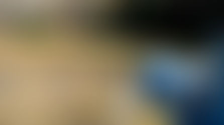 El agua que distribuye INTERAPAS cumple con niveles de calidad