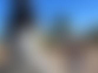 Presidenta del DIF Municipal SLP, Estela Arriaga, reafirma que se refuerza el tratamiento terapéutico con caballos en el "Día Internacional de la Equinoterapia" |