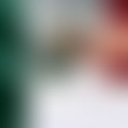 ¿EL FIN DE LOS "PLURIS"? LA REFORMA ELECTORAL YA ESTÁ AQUÍ