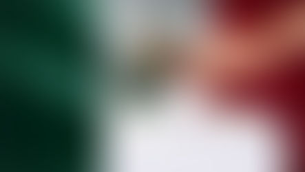 ¿EL FIN DE LOS "PLURIS"? LA REFORMA ELECTORAL YA ESTÁ AQUÍ