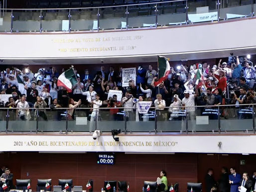 Manifestantes hicieron Portazo e irrumpieron en el Senado de la República durante la discusión de la Reforma Judicial |