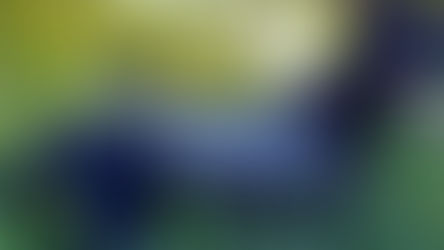 CON HONORES, AUTORIDADES DESPIDEN A “DRAKO” LUEGO DE 8 AÑOS DE SERVICIO EN LA UNIDAD CANINA DE LA GCE