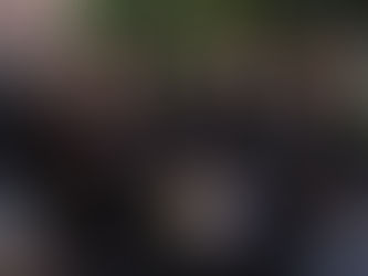 El Festival Internacional de Tunas y Estudiantinas dejó una derrama de 12 mdp en San Luis Capital |