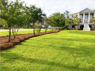 Myrtle-Beach-Sod-Installation.png
