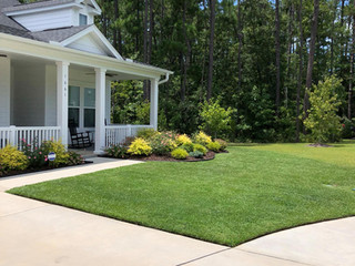 Advanced-Lawn-Landscape-Top-Myrtle-Beach-Sod-Installation.jpeg