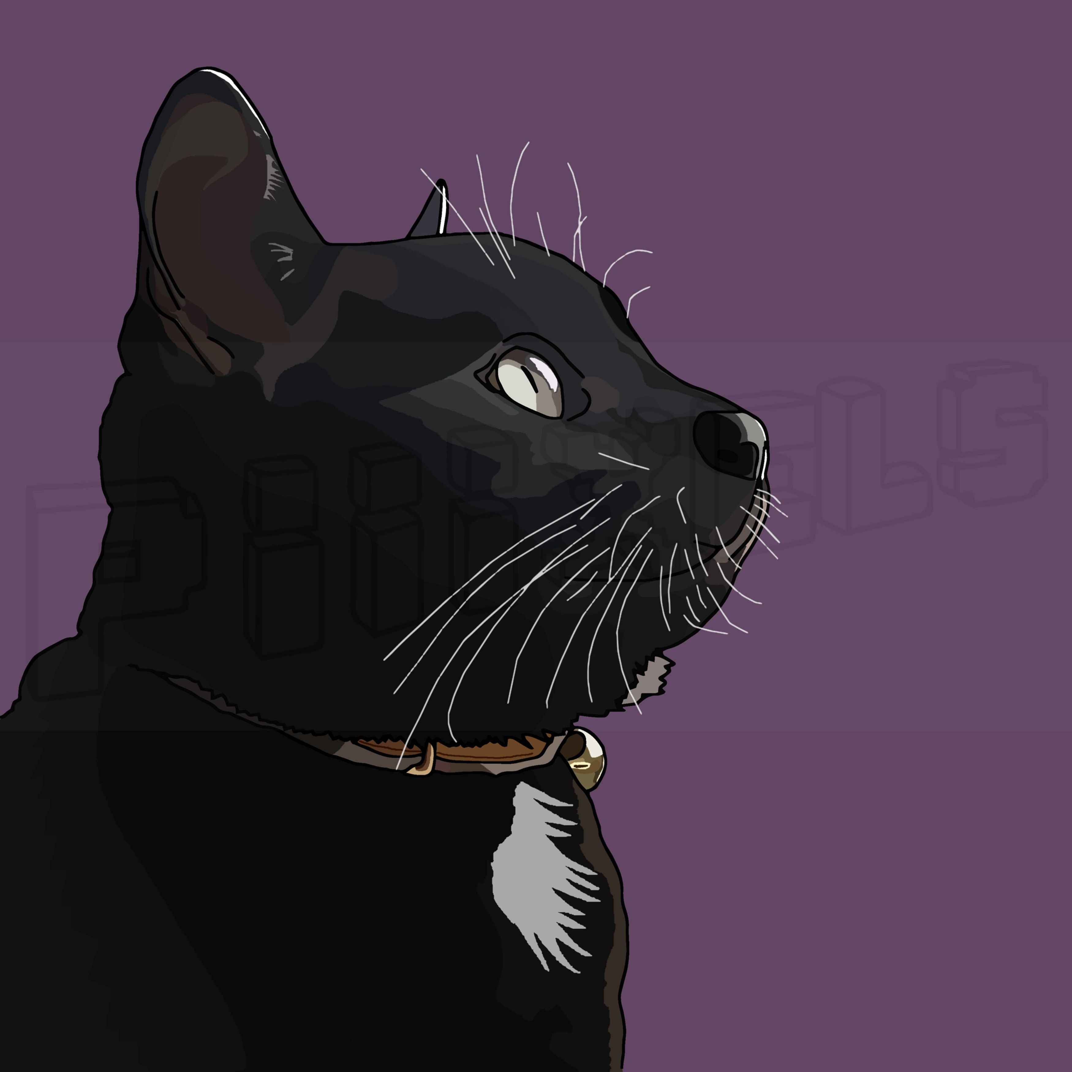 Black & White Cat Art Print