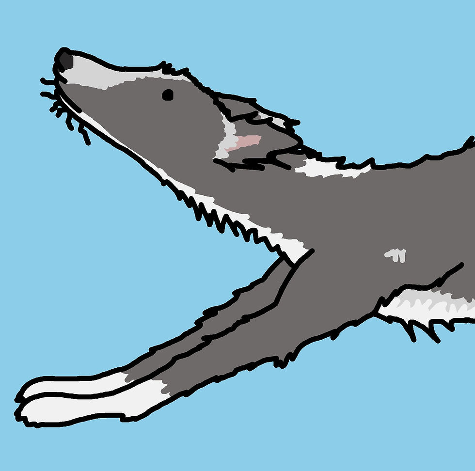 Thumbnail: Lurcher Big Stretch Art Print