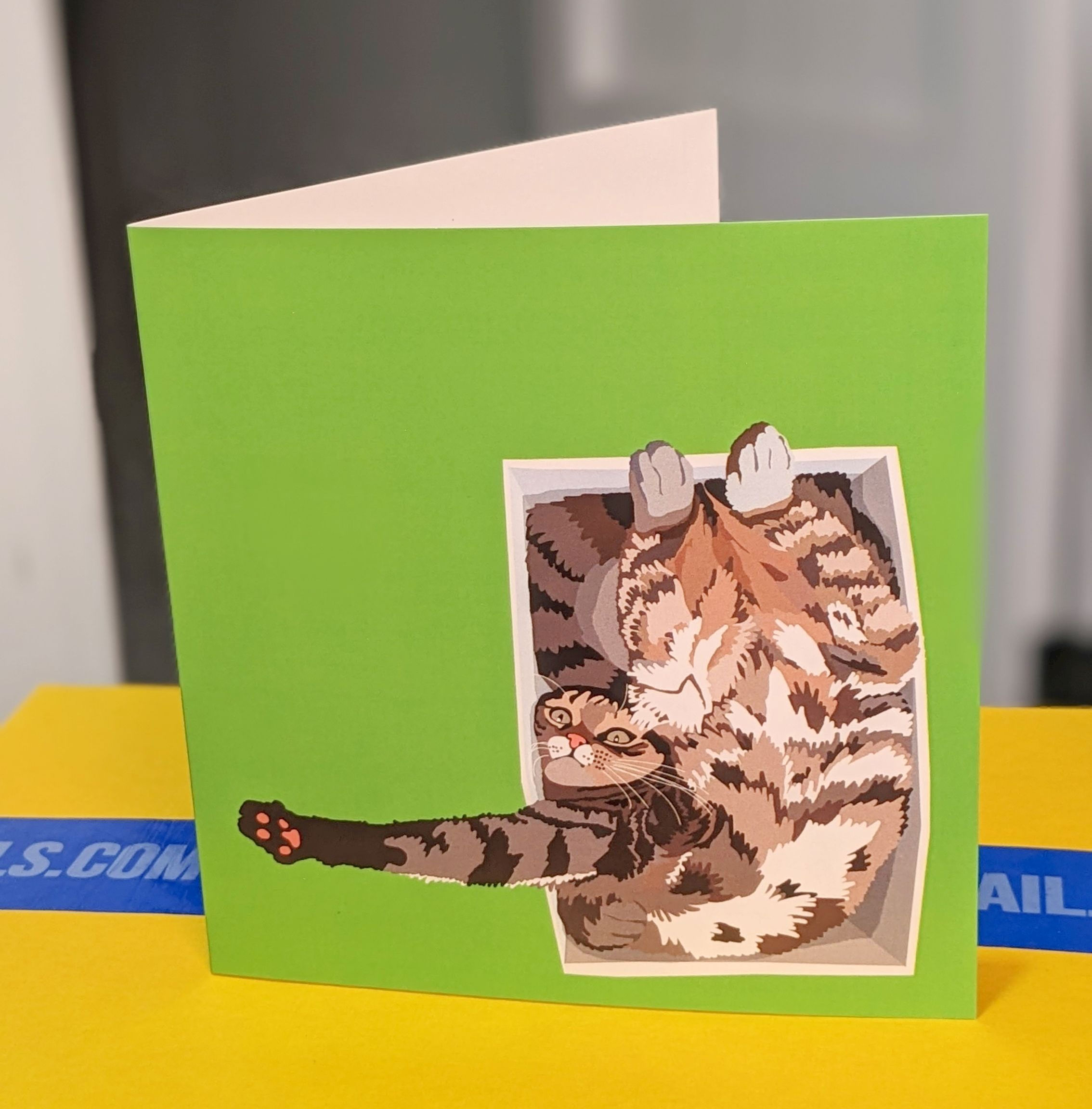 Cat Greeting Card