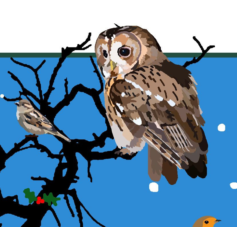 Thumbnail: Birds Christmas Card (Welsh)