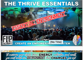 Screen Shot 2021-01-26 at 1.19.55 PM.png