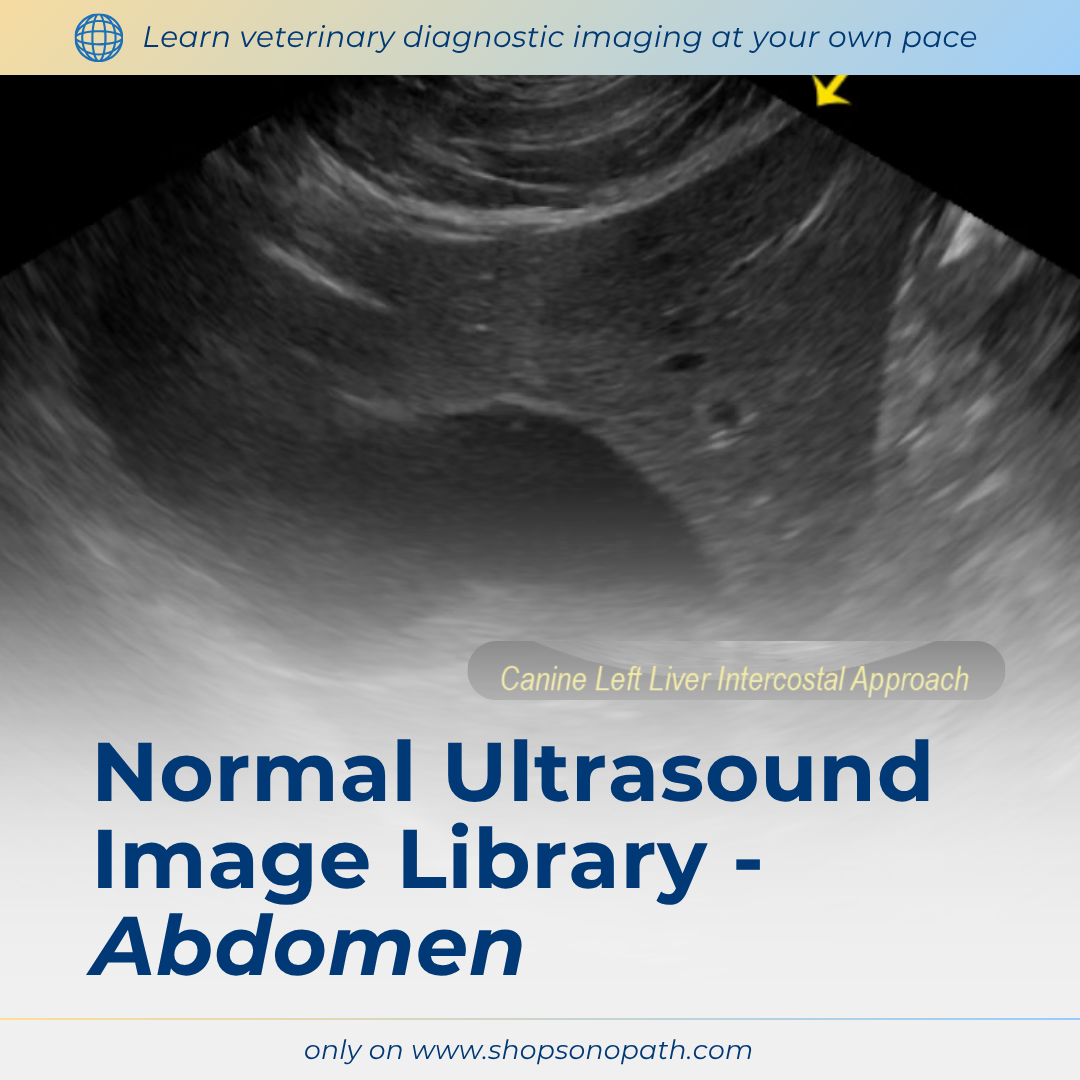 Normal Ultrasound Image Library - Abdomen