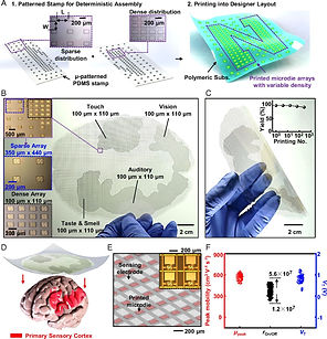 pnas.1907697116fig02.jpeg