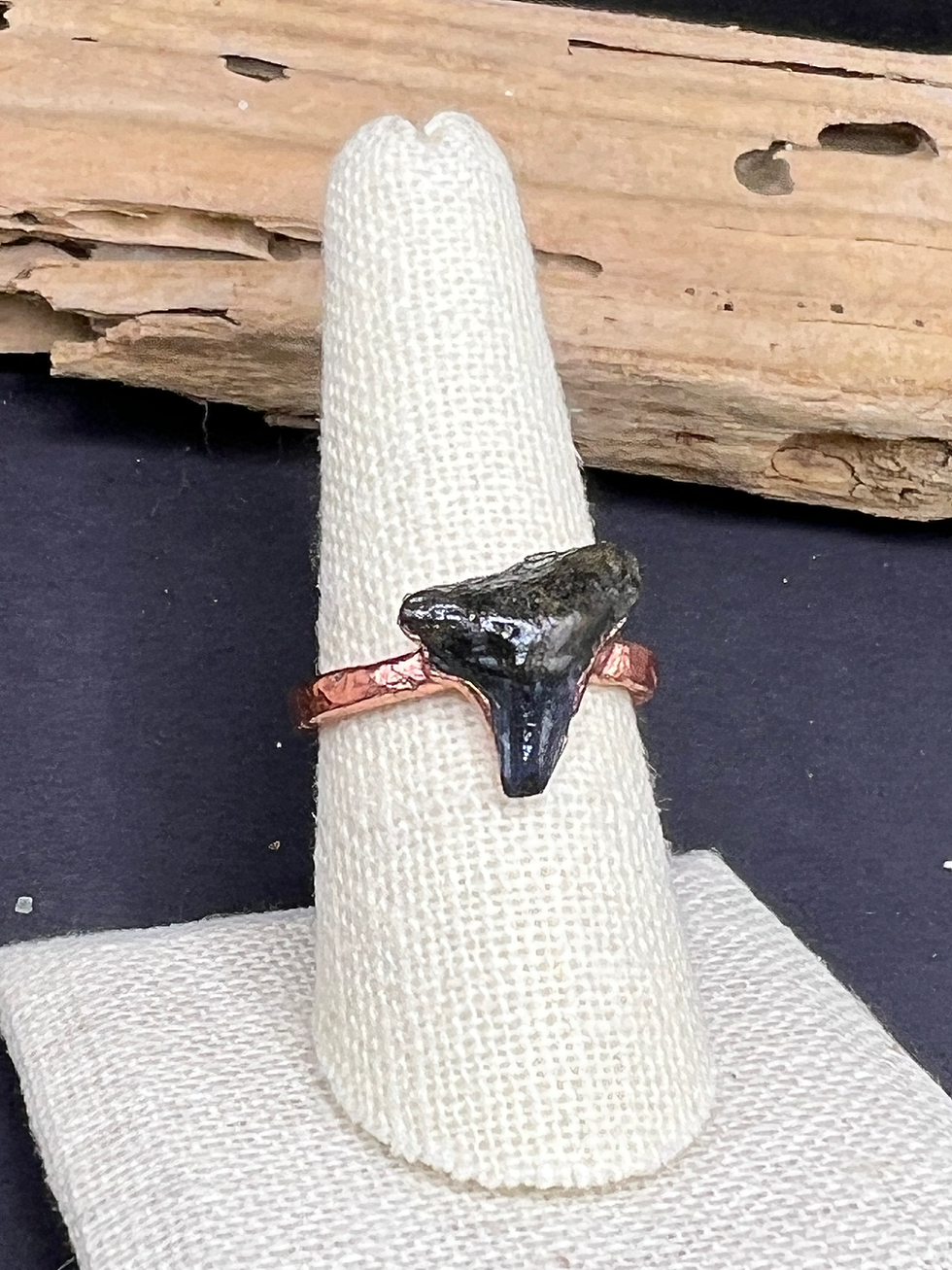 Thumbnail: Shark ring size size 9