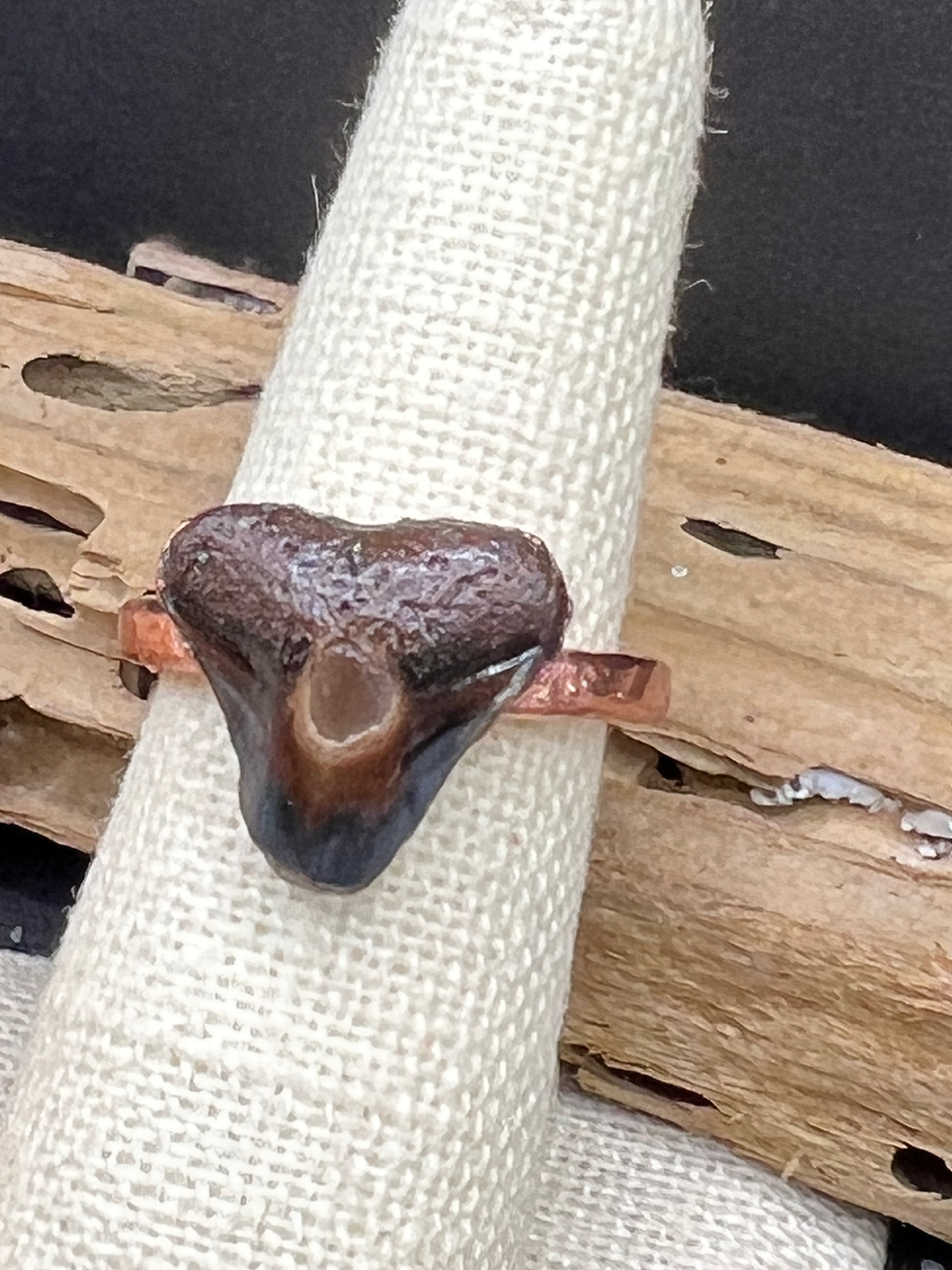 Thumbnail: Shark tooth ring size 8