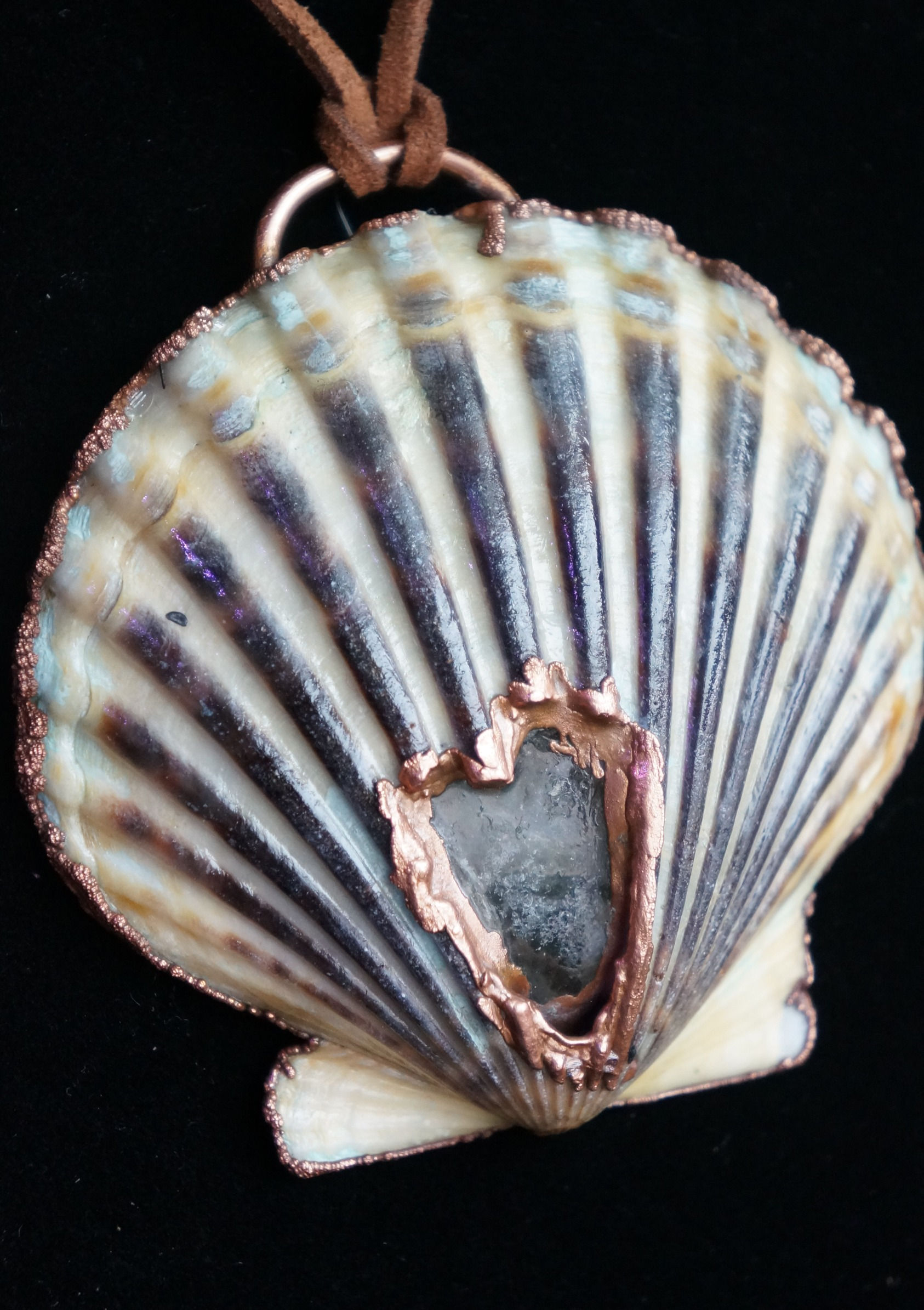 Seashell/ Seaglass Hanger