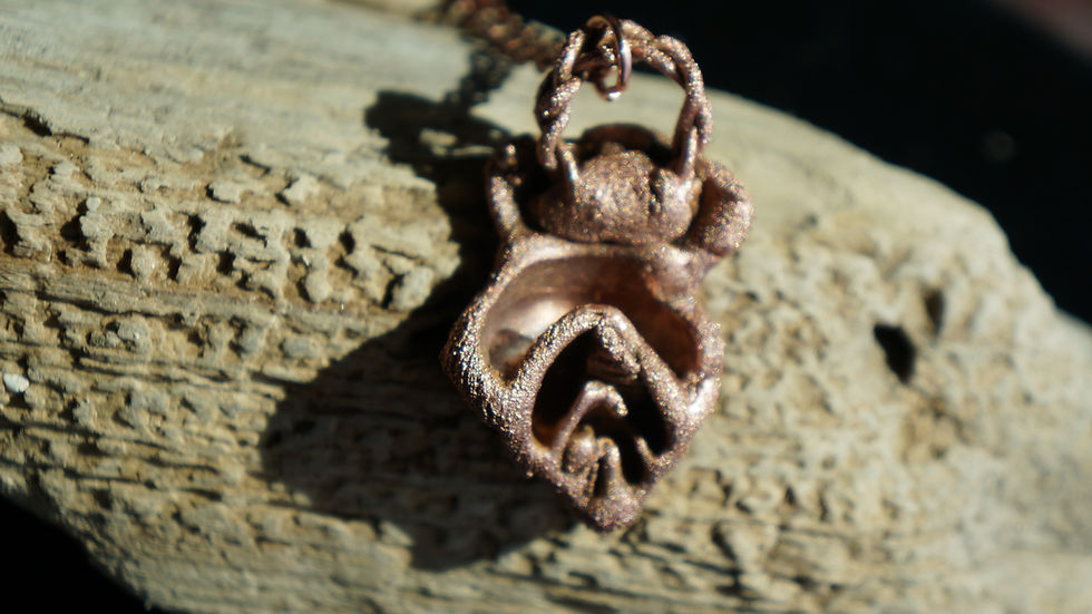 Thumbnail: Seashell Necklace