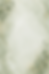 ChatGPT Image Jun 20, 2026, 11_19_23 AM.png