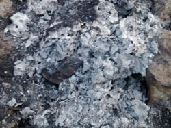 Serie Incendia2 #1