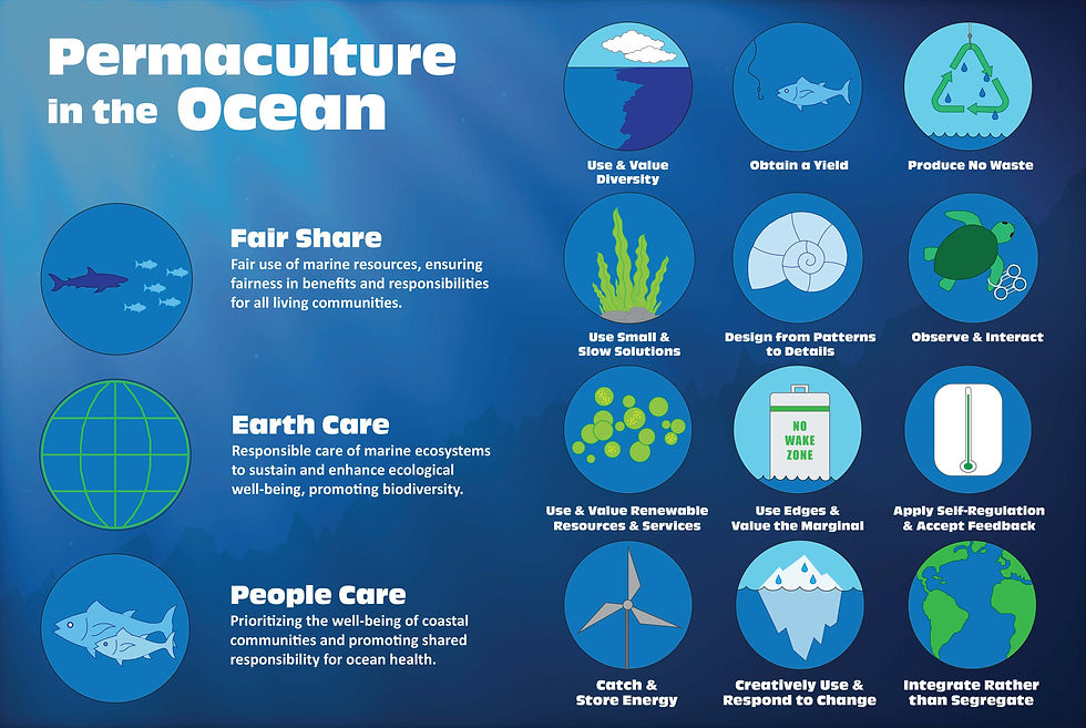 Permaculture Portf_Page_1.jpg
