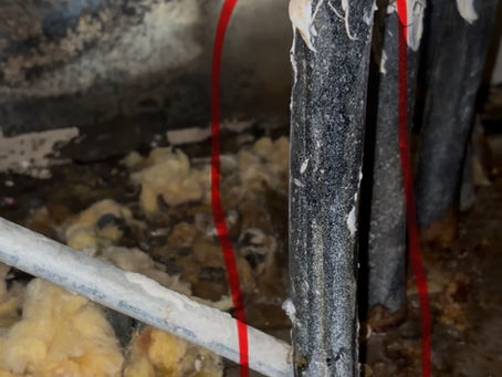 West Palm Beach Kitchen Drain & Hot‑Water Line Dual Leak