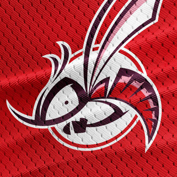 Moskitos Visual Identity