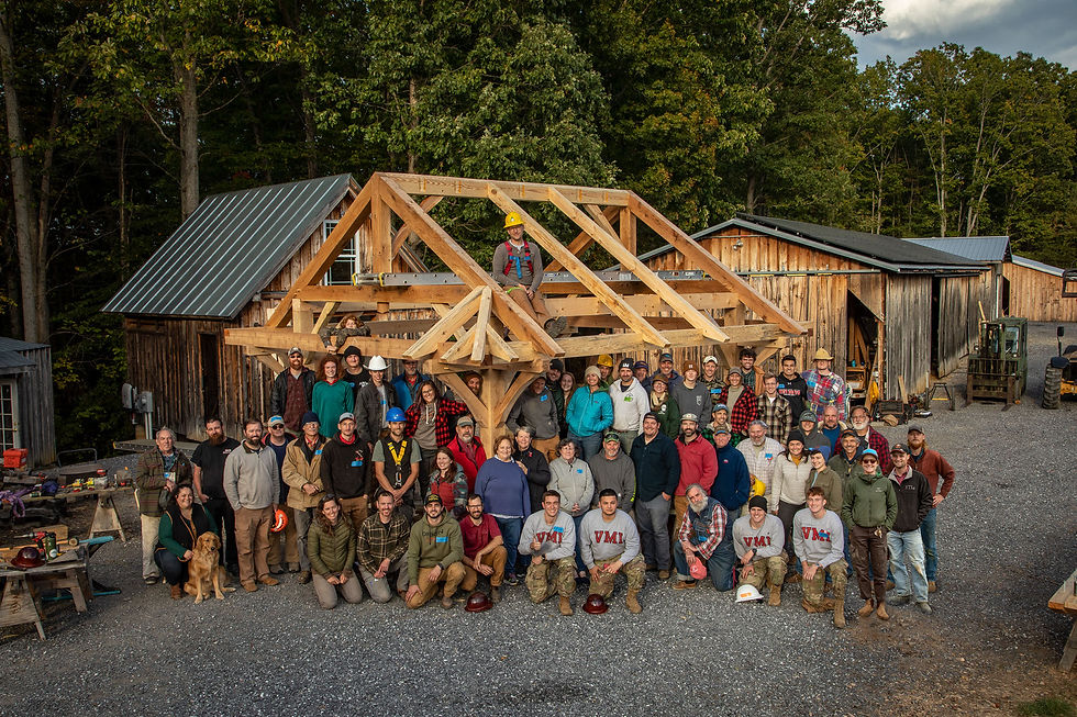timber build group.jpg