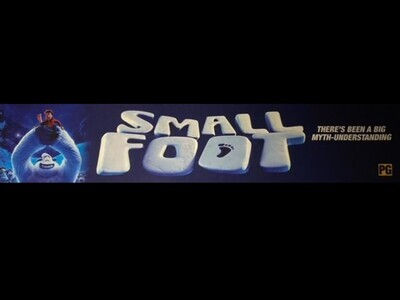 Mylar: Small Foot Size 25 In x 5 In Large