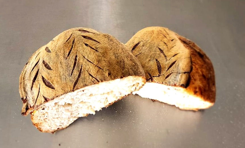 PHOTO-2024-07-30-19-16-42 4_edited