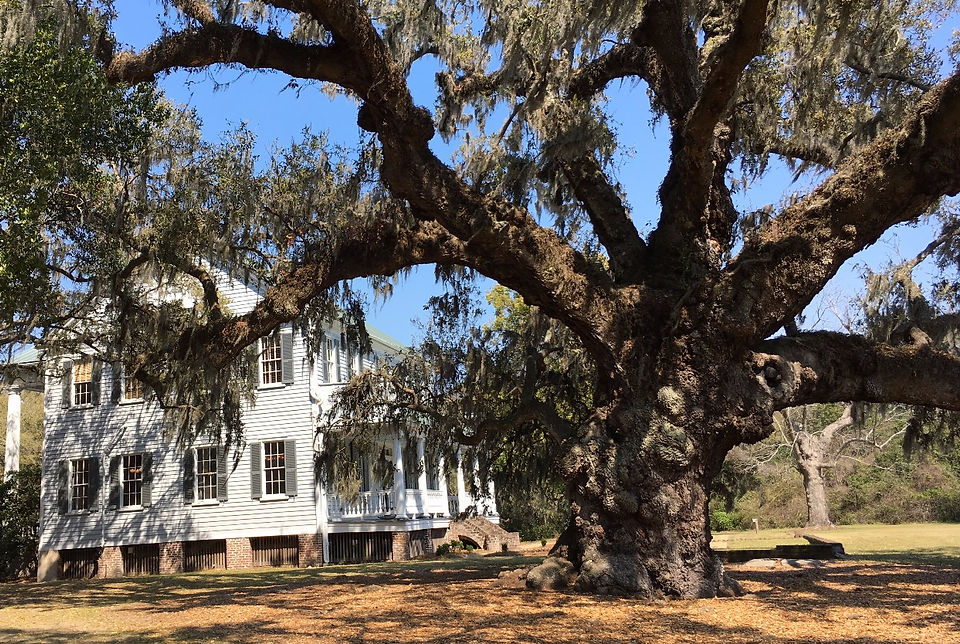 Savannah and Charleston