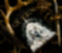 799cbe47-2c51-4a1f-96d1-758dde3e8faf.jpg
