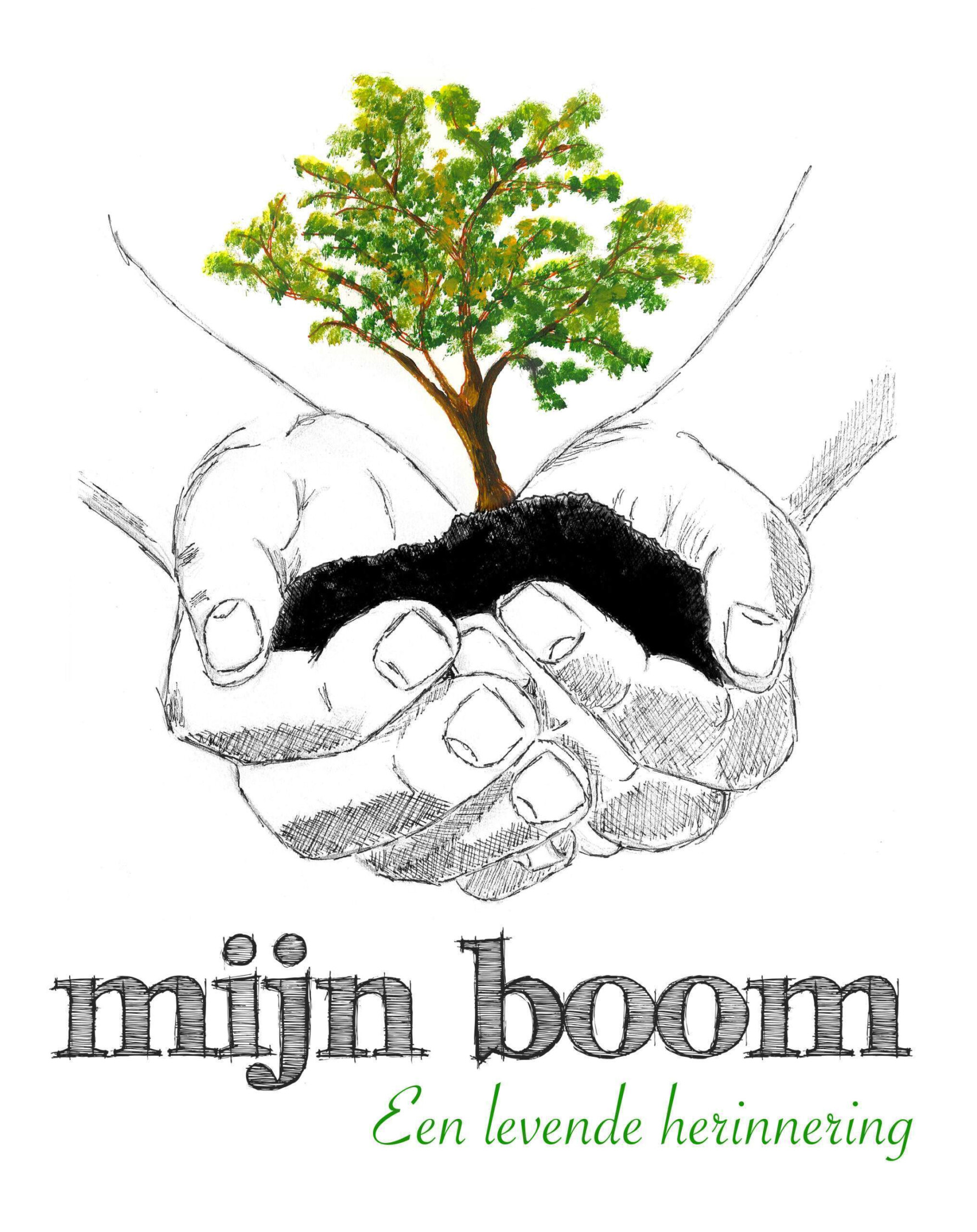 mijn boom.jpg