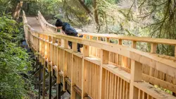 Pathway of the ground