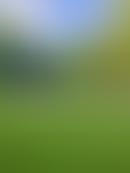 Welcome to the Second Thoughts Intelligence Blog Hub: Meet Our Visionary Founder, Estevön Martinès D'Frisio 