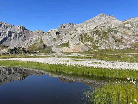 Warum Vagusnerv-Stimulatoren kein eigenständiges Werkzeug zur Heilung sind