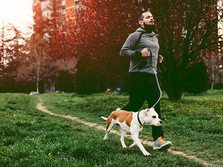 How to Exercise with your Canine Companion