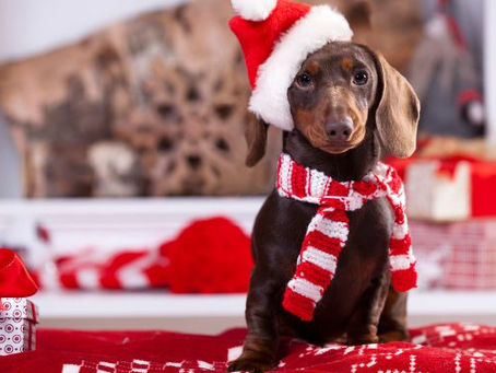 Holidays are coming...