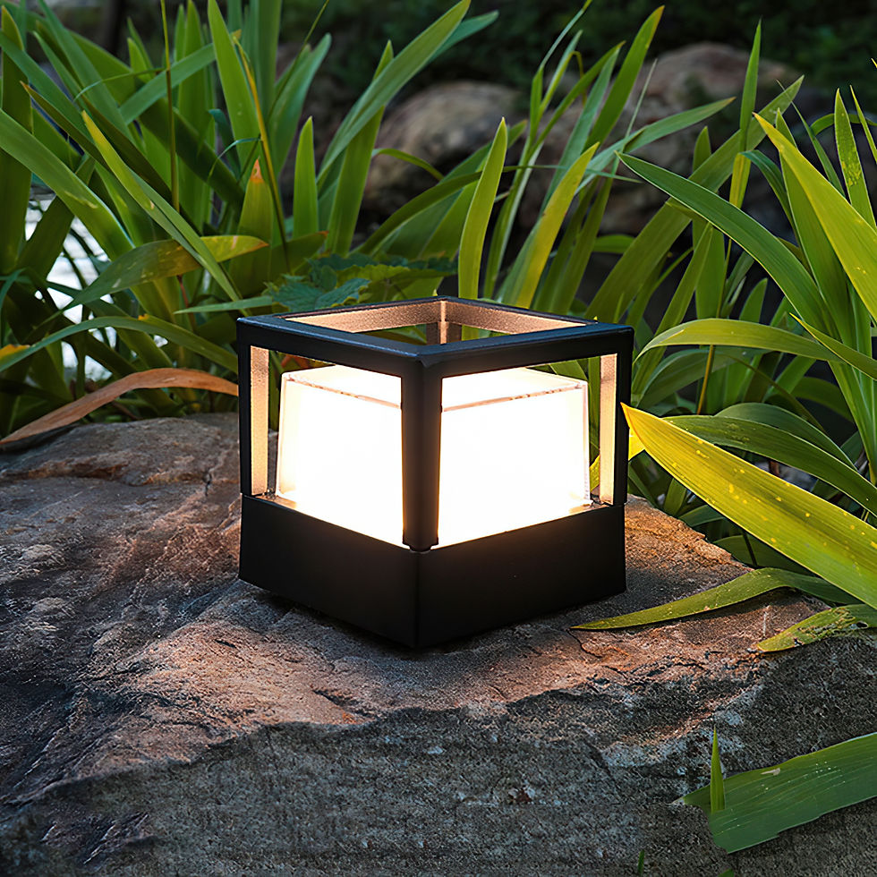 Thumbnail: Anton - TN61