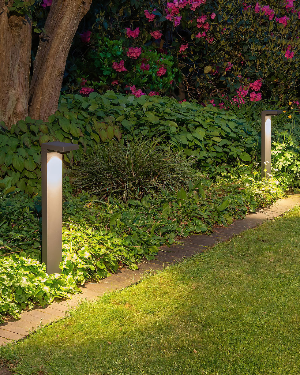 Thumbnail: Boris - TN46