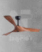 Thumbnail: Strata Air - FN 21