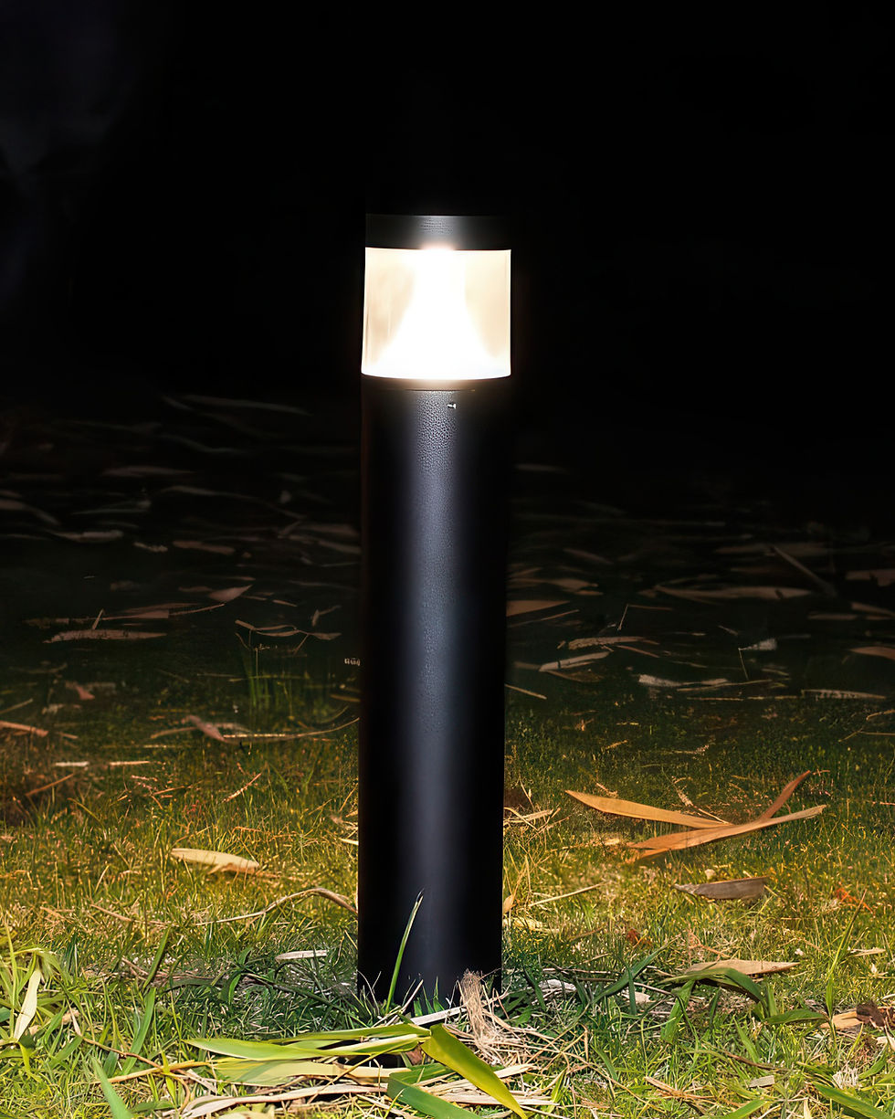 Thumbnail: Axel - TN 112