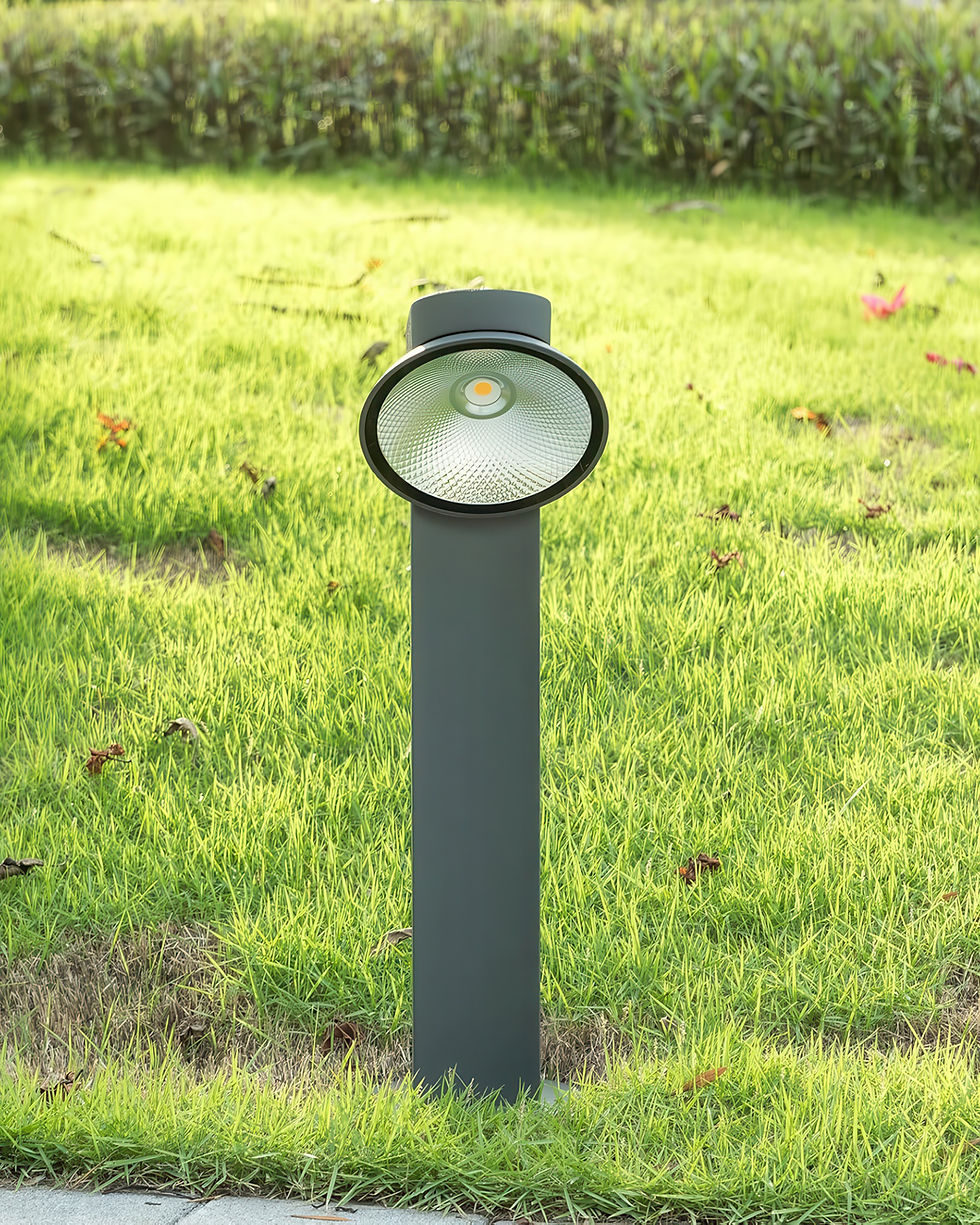 Thumbnail: Ace - TN 113