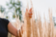 Anja Getzmann-112.jpg