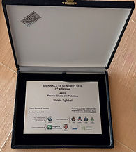 Premio Giuria Biennale di Sondrio 2026