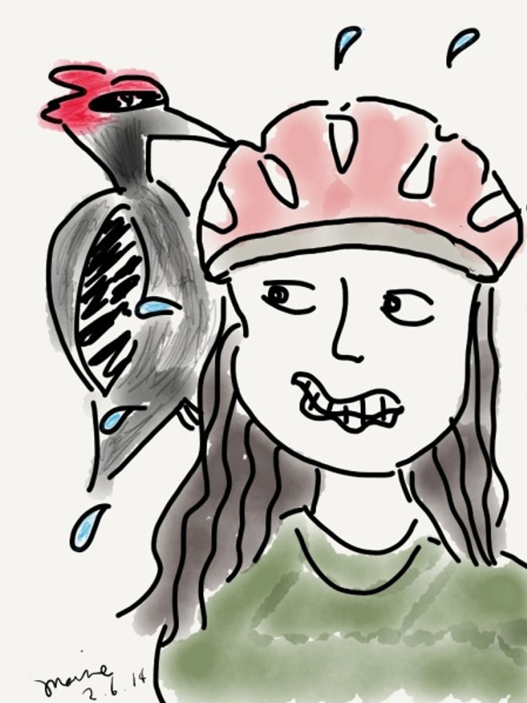 No, I was not attacked by a woodpecker. Read on to see the relevance.