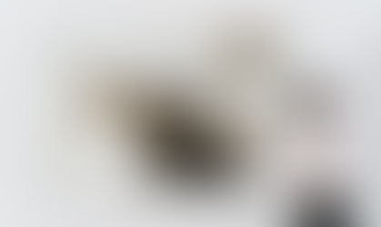 Český fotograf Martin Stranka okouzlil svět