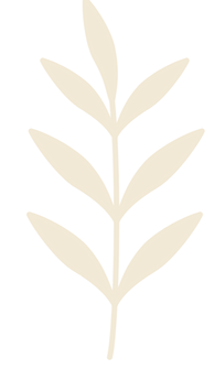 Copy of Body & Mind Sydney Massage Busin