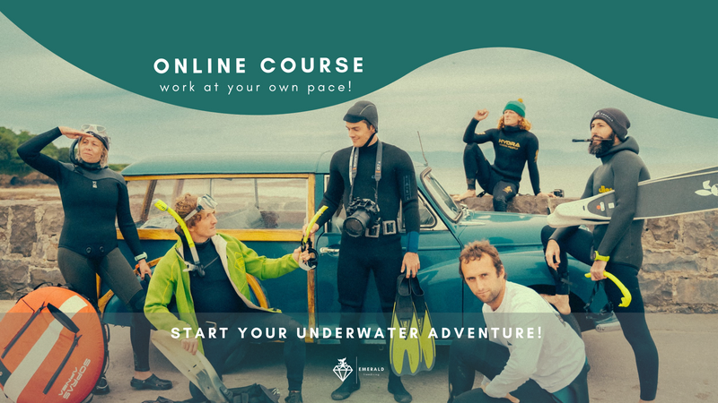Spearfishing Course